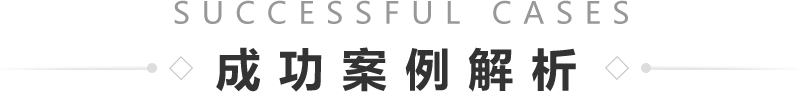 成功案例解析