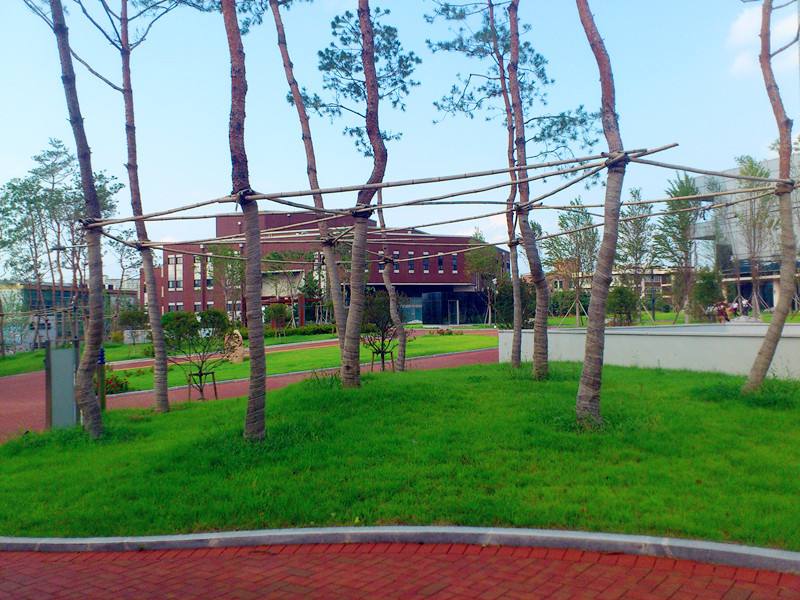 大邱大学