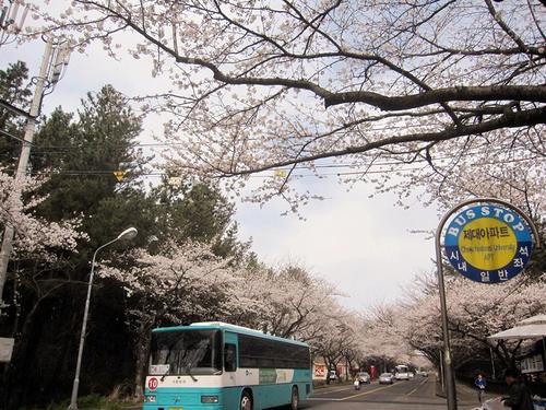 韩国大学排名