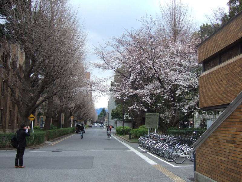 日本东京大学