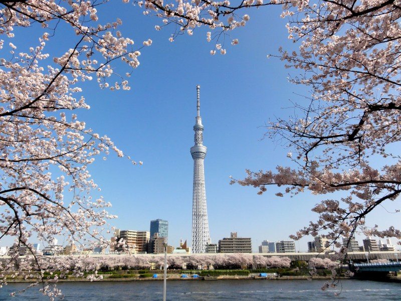 日本医学院校排名