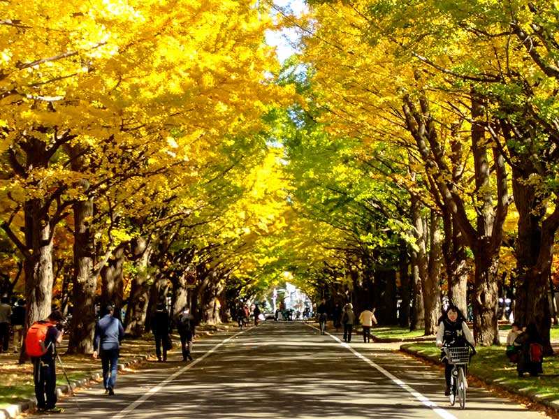 北海道教育大学