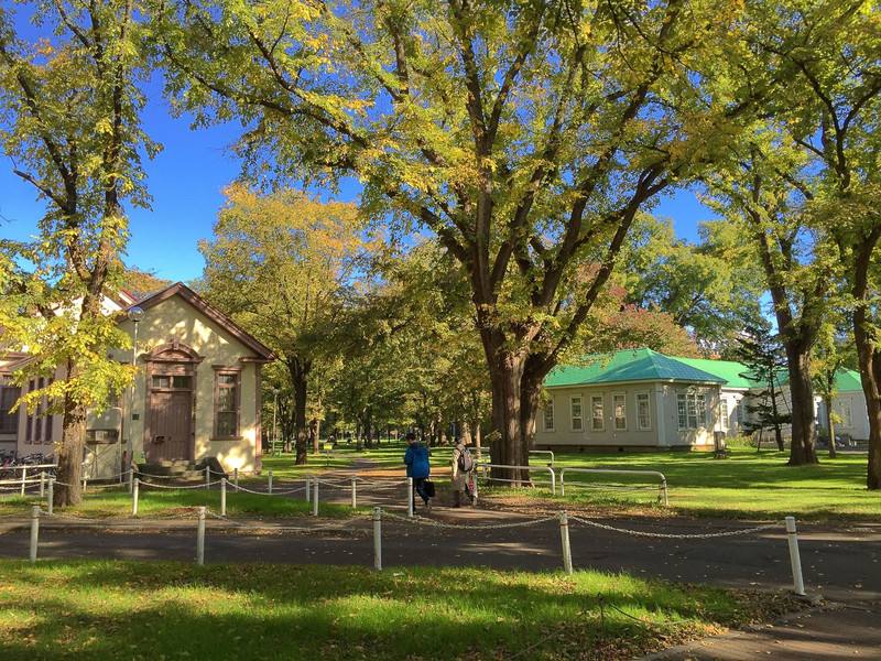 北海道教育大学