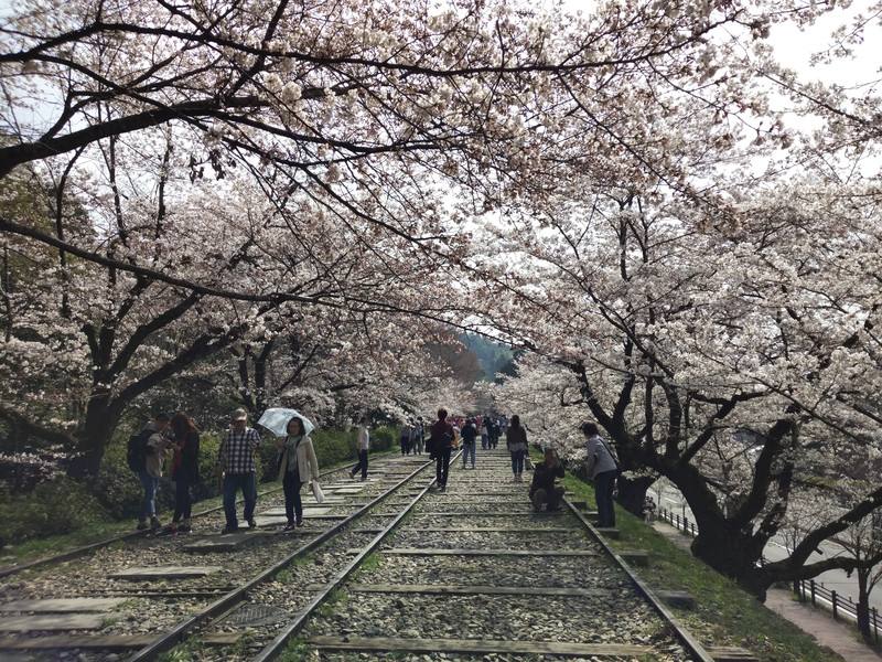 京都市立艺术大学