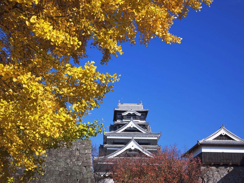 熊本大学