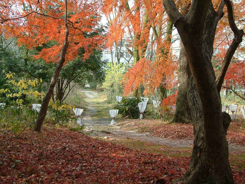 日本留学,日本读研