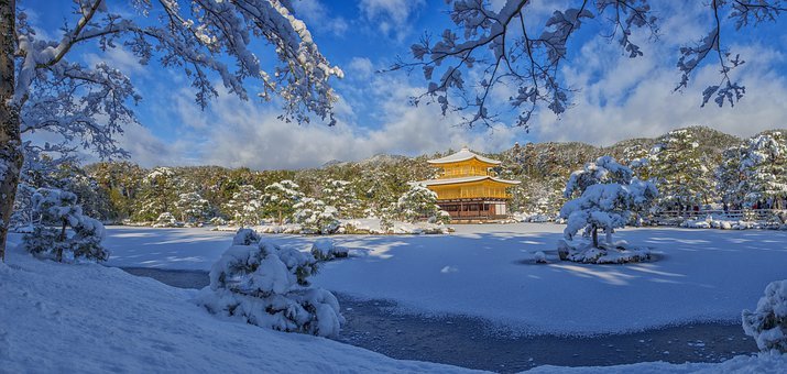 日本留学,日本读研