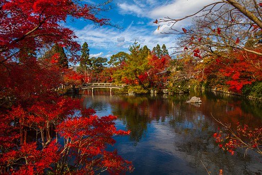 日本留学,日本读研