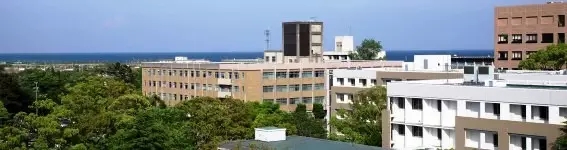 日本留学,日本读研