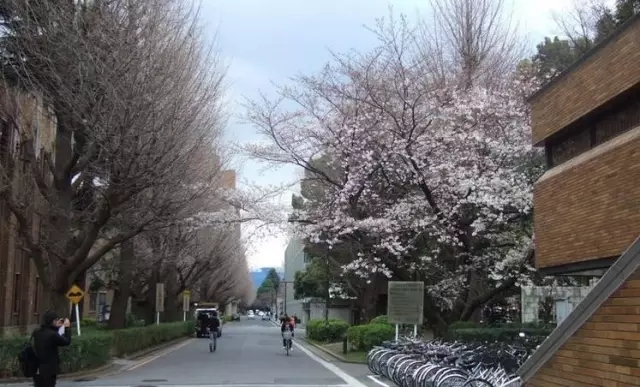 日本留学,日本留学条件